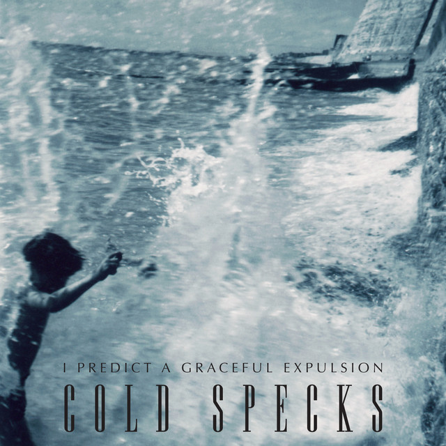 I Predict A Graceful Expulsion album cover