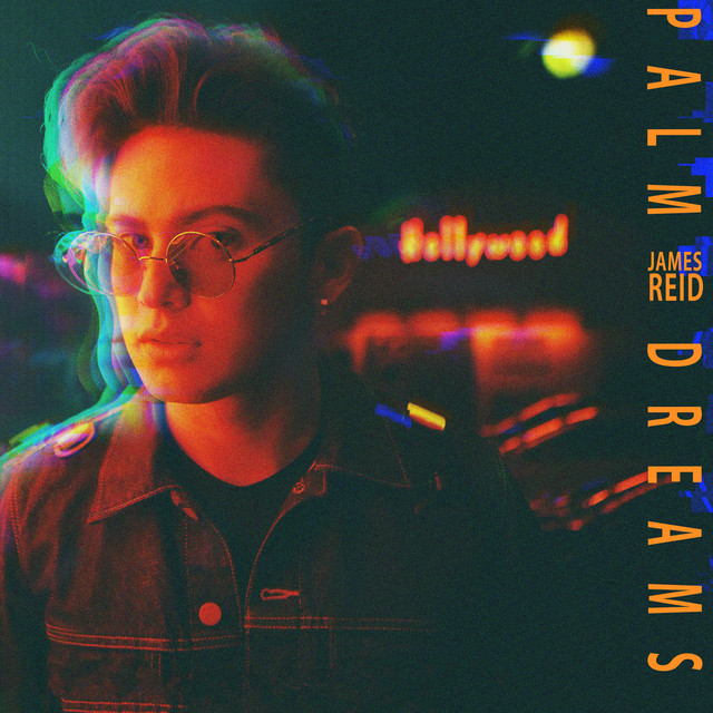 Palm Dreams album cover