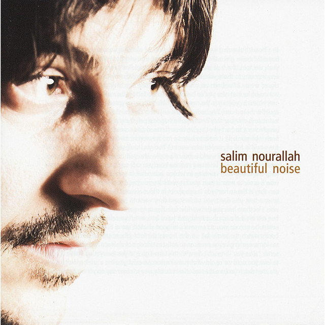 Beautiful Noise album cover