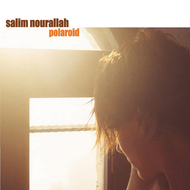 Polaroid album cover