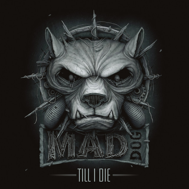 Till I Die album cover