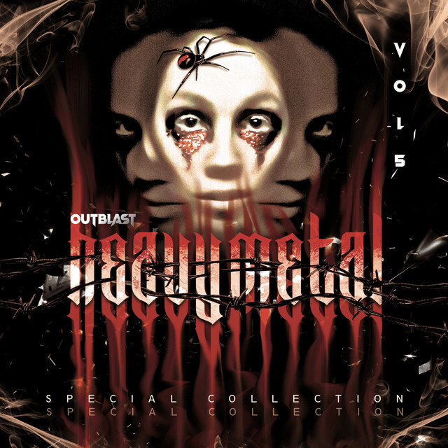 Heavy Metal Special Collection, Vol. 5 album cover