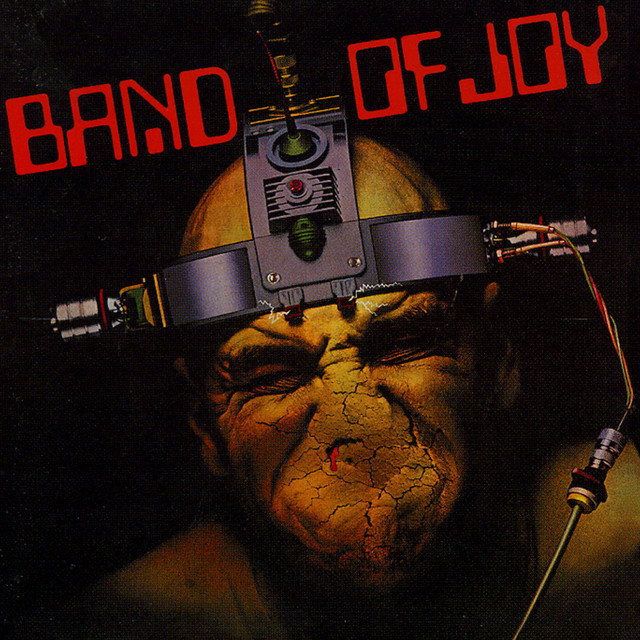 Band Of Joy album cover