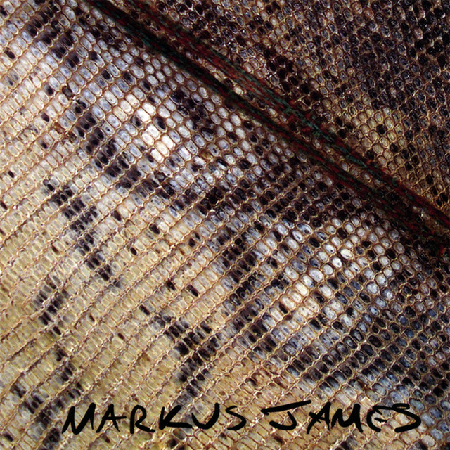 Snakeskin Violin album cover