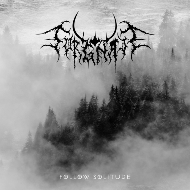 Follow Solitude album cover