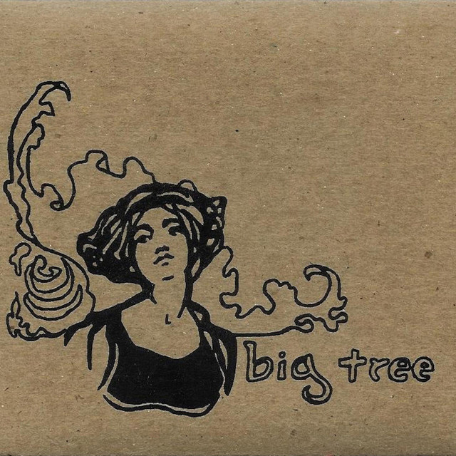 Big Tree album cover