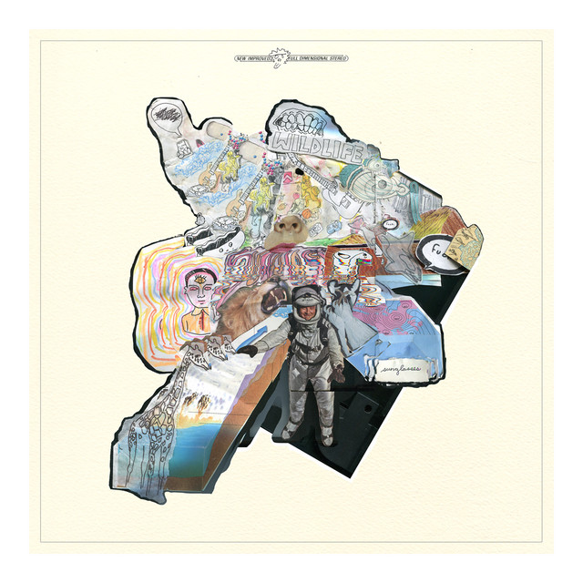 Wildlife album cover