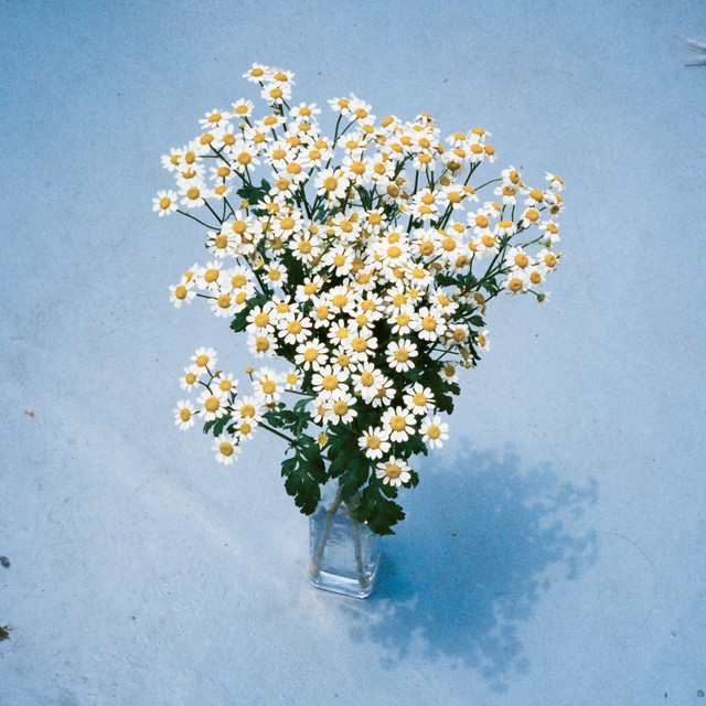 Through Life album cover