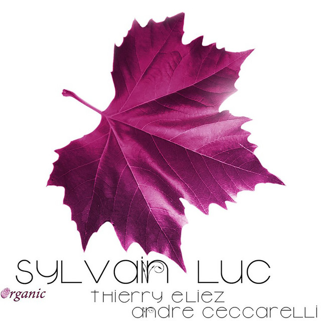 Organic (feat. Thierry Eliez & André Ceccarelli) album cover