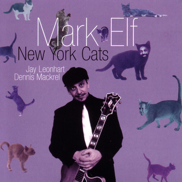 New York Cats album cover