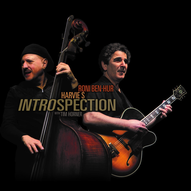 Introspection album cover