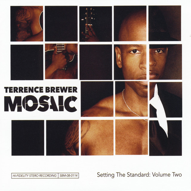 Mosaic - Setting the Standard: Volume 2 album cover