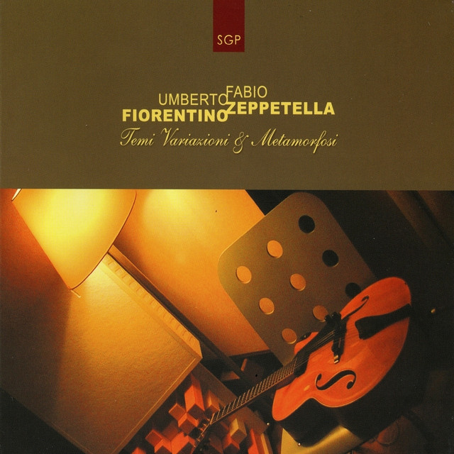 Temi Variazioni E Metamorfosi album cover