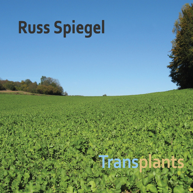 Transplants album cover