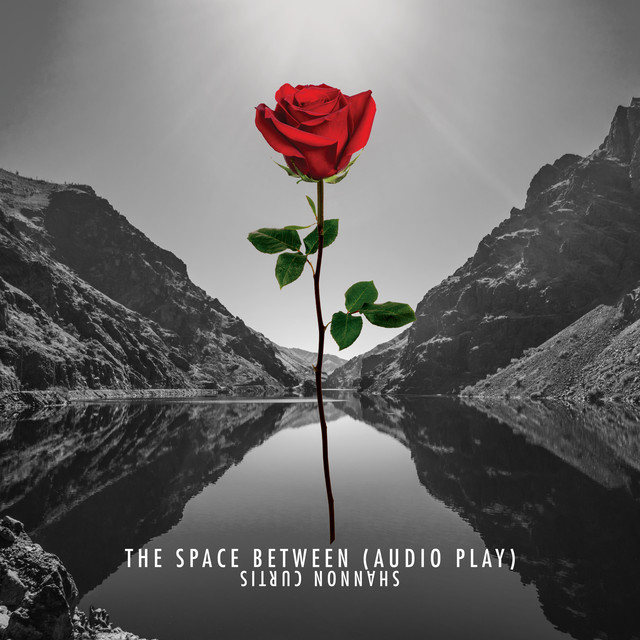 The Space Between (Audio Play) album cover