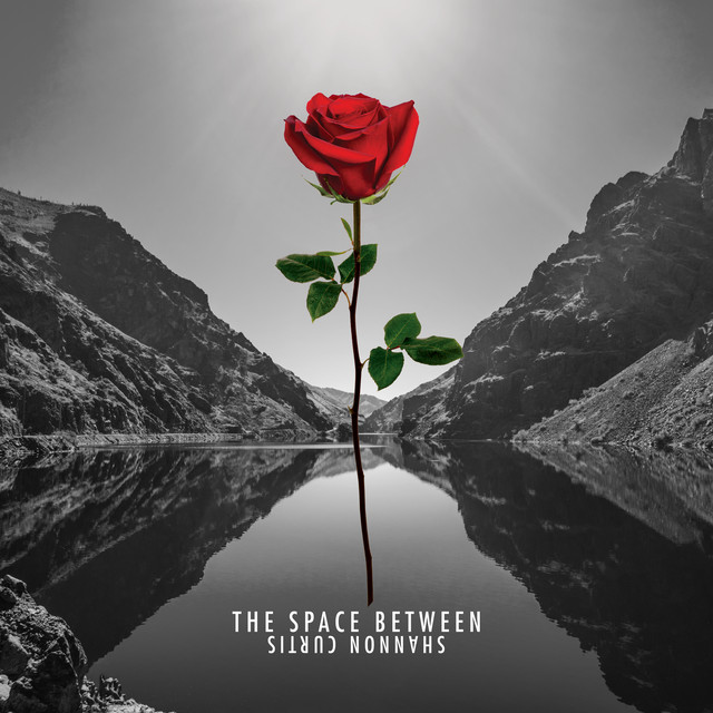 The Space Between album cover