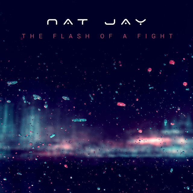 The Flash of a Fight album cover