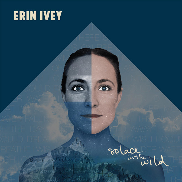 Solace in the Wild album cover