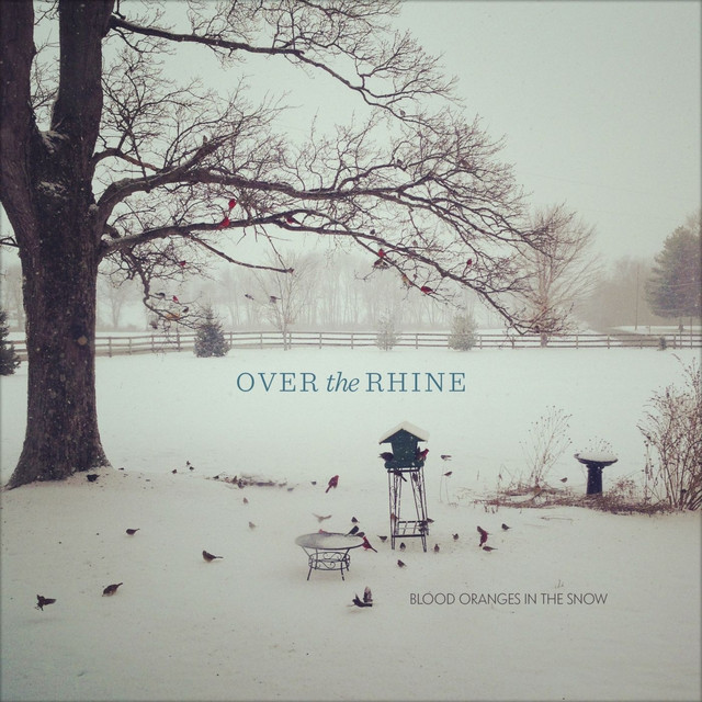 Blood Oranges In The Snow album cover