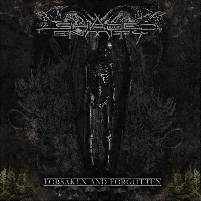Forsaken and Forgotten album cover