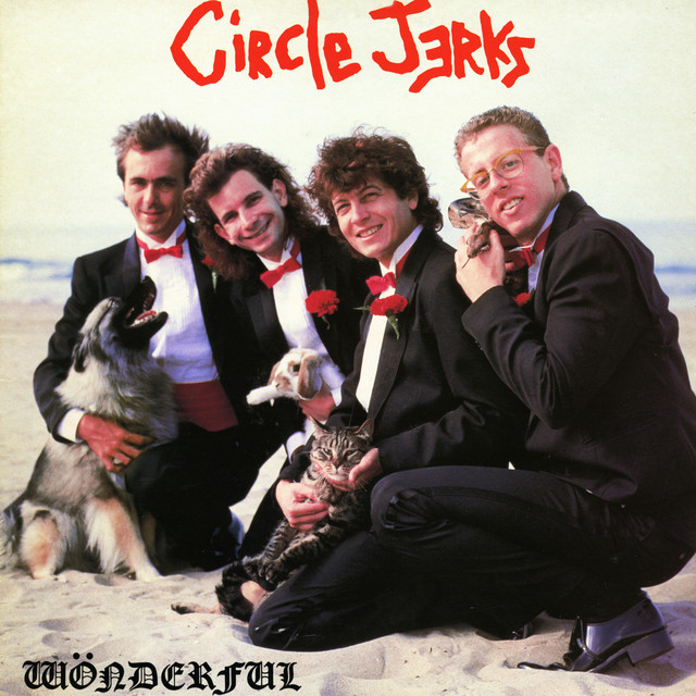 Wonderful album cover