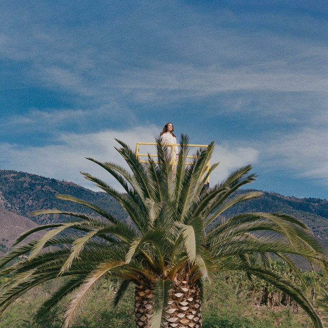 Love Hallucination album cover