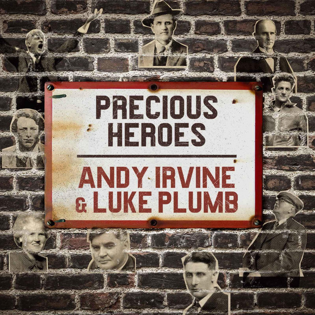 Precious Heroes album cover