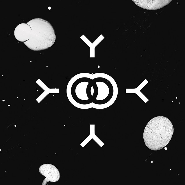 Symbiosis II album cover