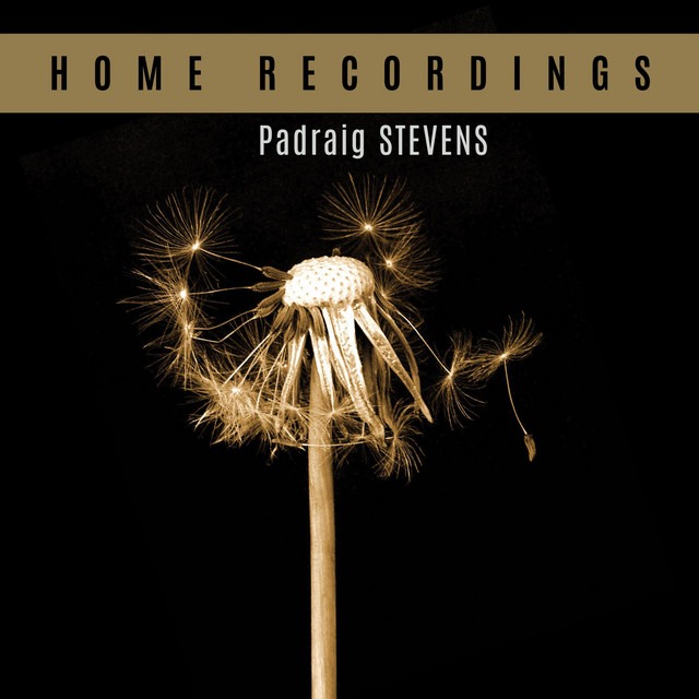 Home Recordings album cover