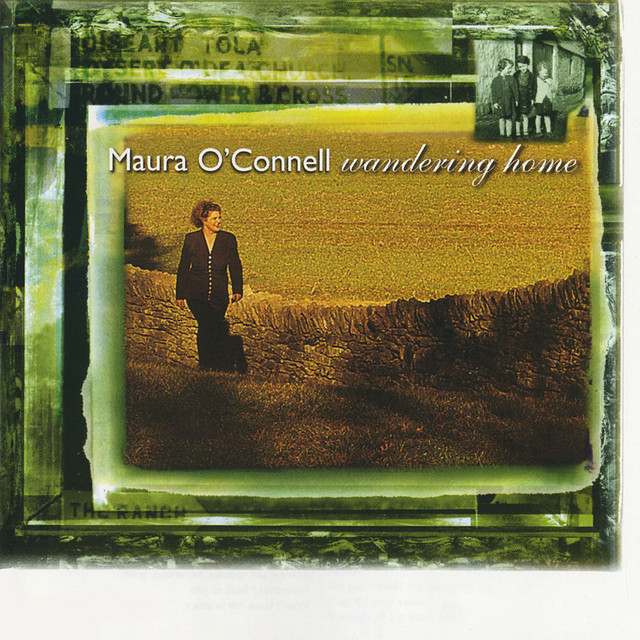 Wandering Home album cover