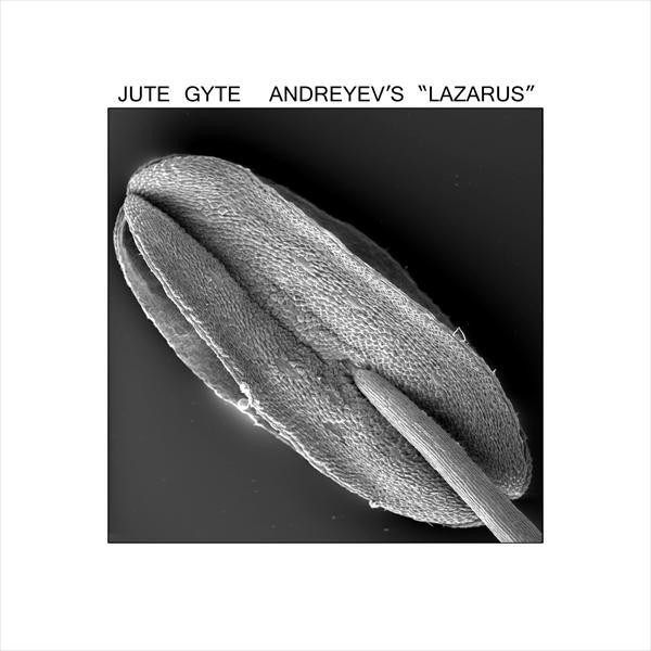 Andreyev's "Lazarus" album cover