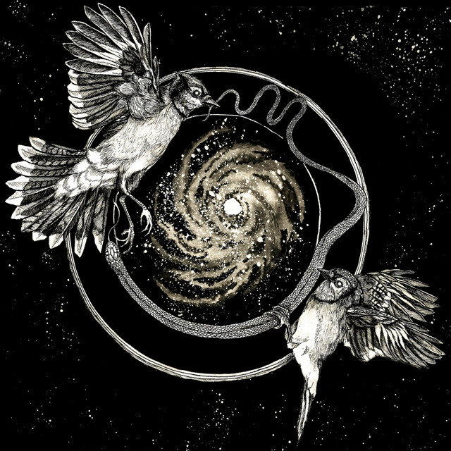 Sky Swallower album cover