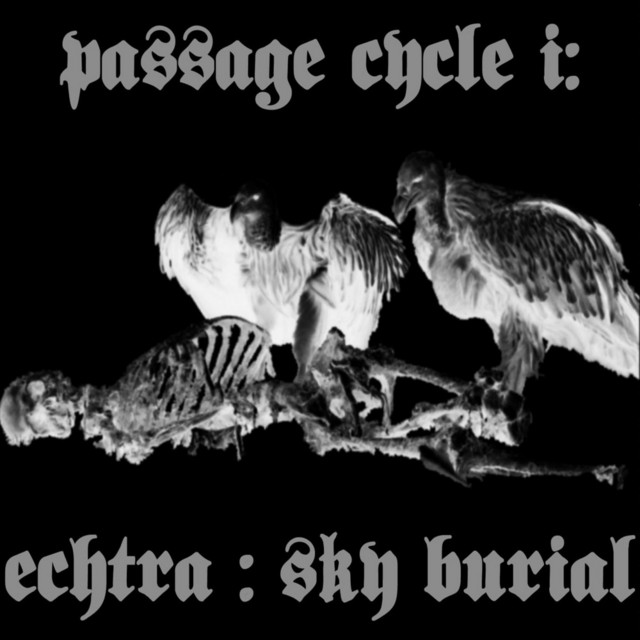 Sky Burial album cover