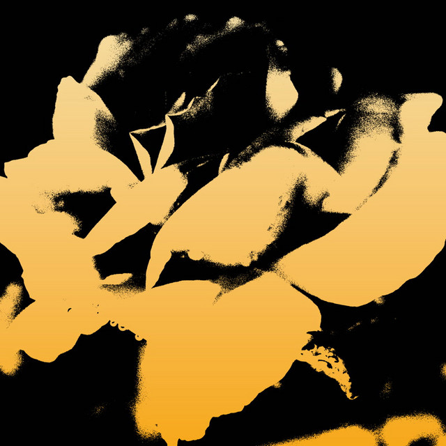 A Beautiful Life album cover