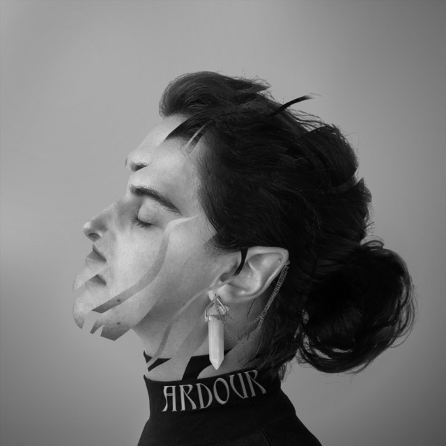 Ardour album cover