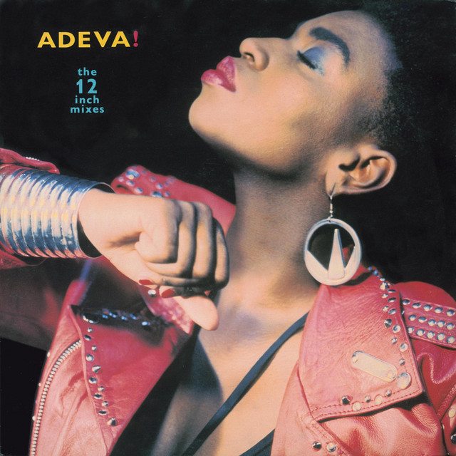 The 12" Mixes album cover
