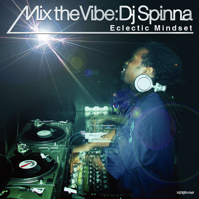 Mix the Vibe: Eclectic Mindset album cover
