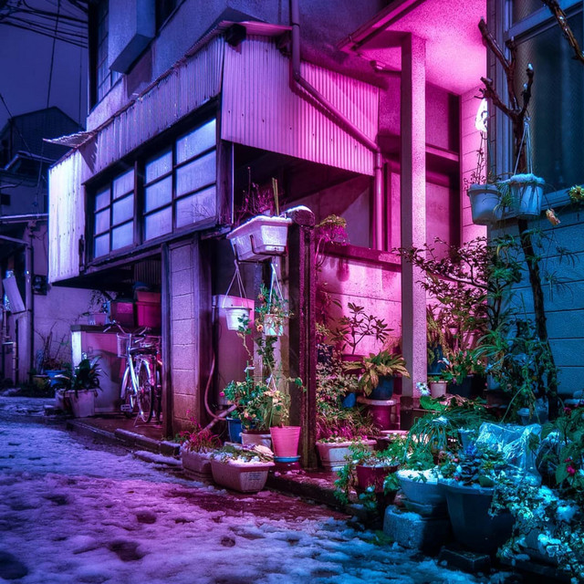 Kadomatsu View album cover