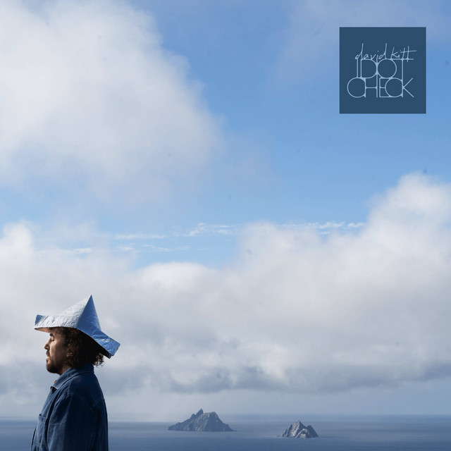 Idiot Check album cover