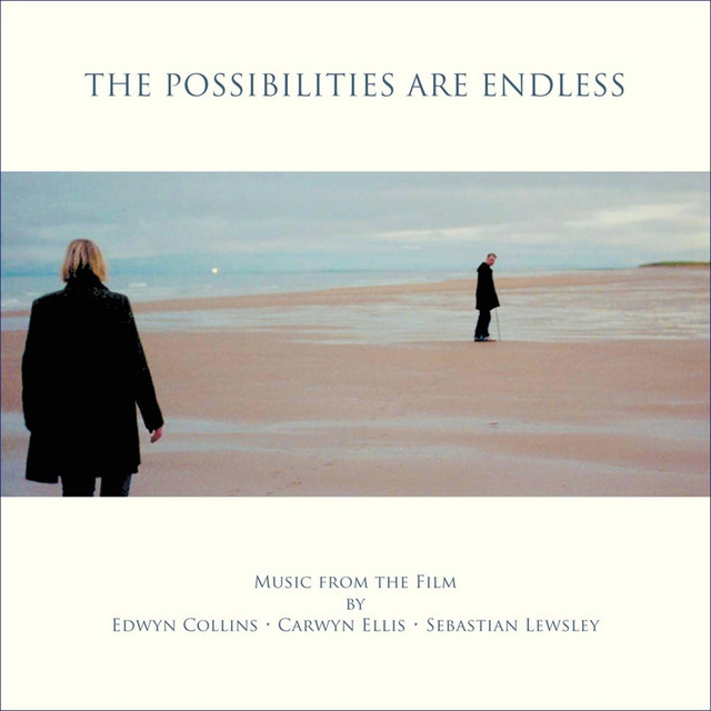 The Possibilities Are Endless album cover