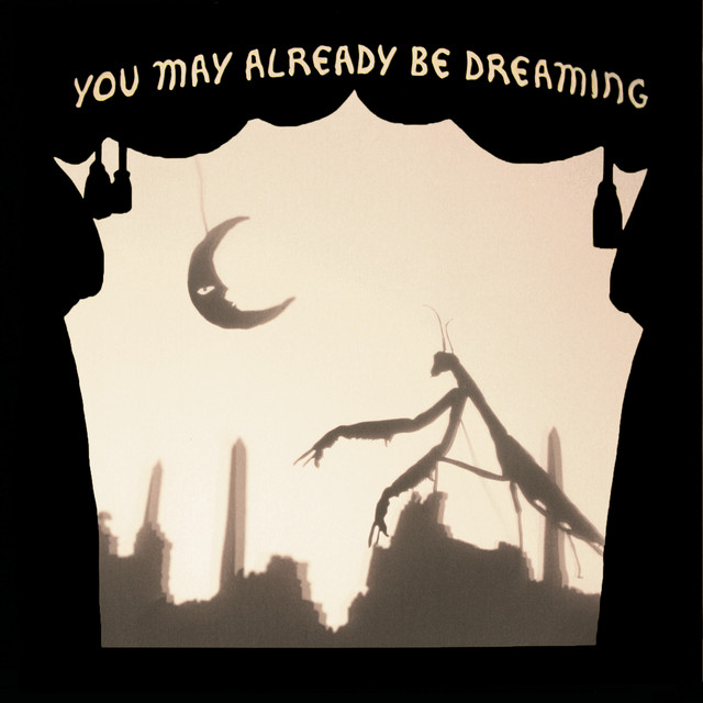 You May Already Be Dreaming album cover