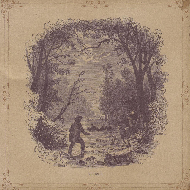 Vetiver album cover