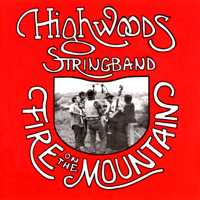 Fire On The Mountain album cover