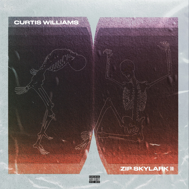 Zip Skylark 2: The Wrath of Danco album cover