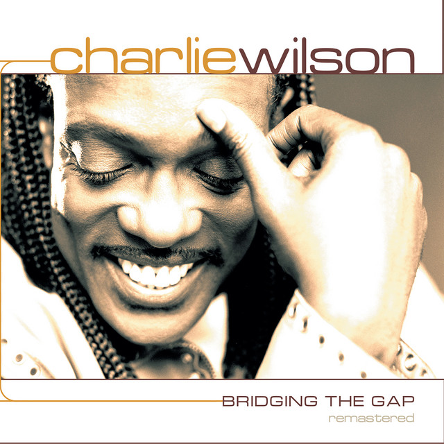 Bridging the Gap Remastered album cover