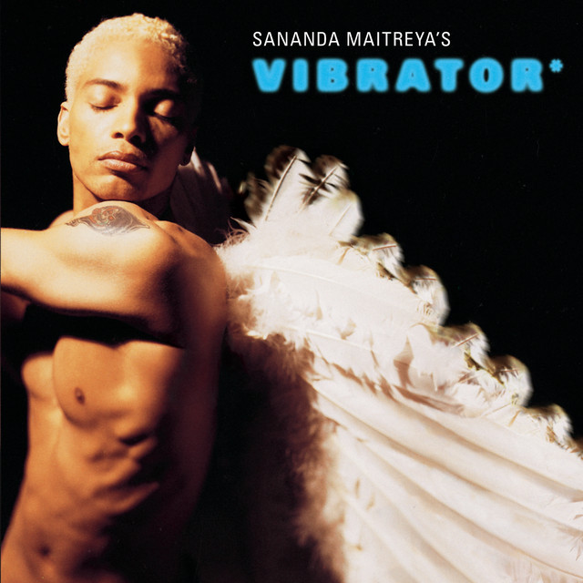 Sananda Maitreya's Vibrator album cover