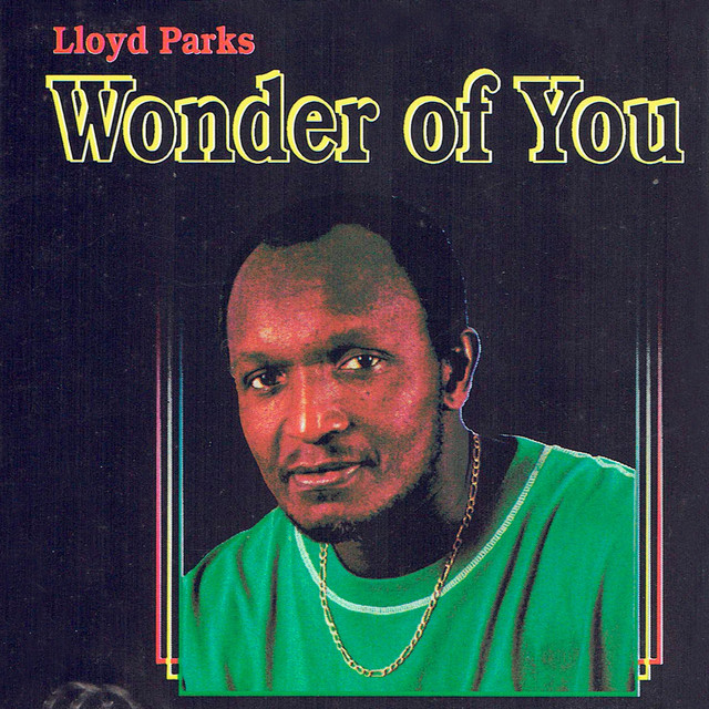 Wonder of You album cover