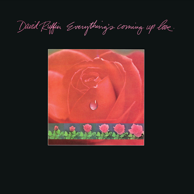 Everything’s Coming Up Love album cover