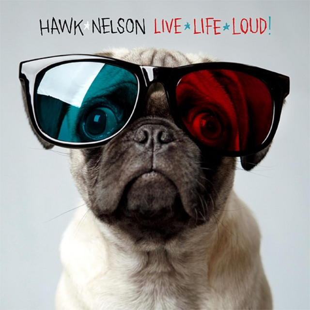Marshall JCM900 4100 as heard on Live Life Loud by Hawk Nelson (2009)