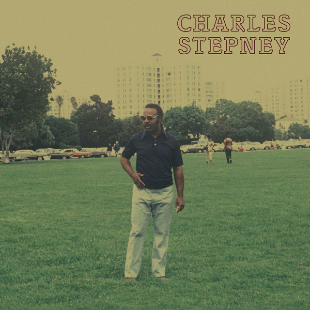 Step on Step album cover
